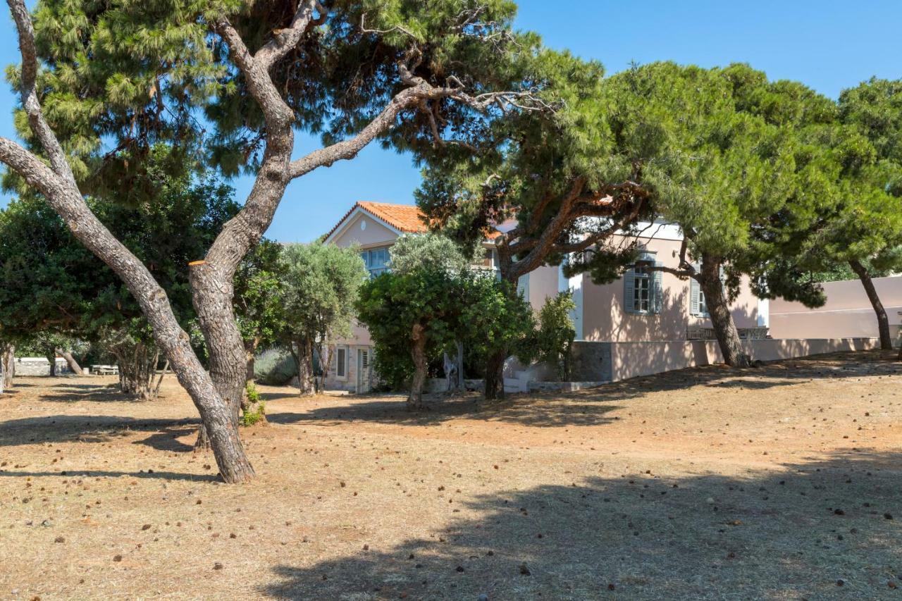 فيلا Dellagracia Mansion In Poseidonia Syros Posidhonía المظهر الخارجي الصورة